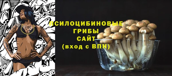 мяу мяу кристалл Ельня