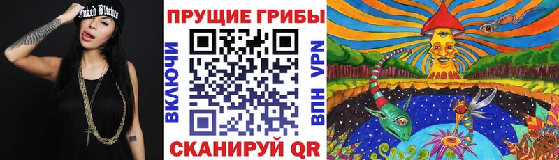 ОМГ ОМГ   Петухово  Галлюциногенные грибы GOLDEN TEACHER  как найти закладки 